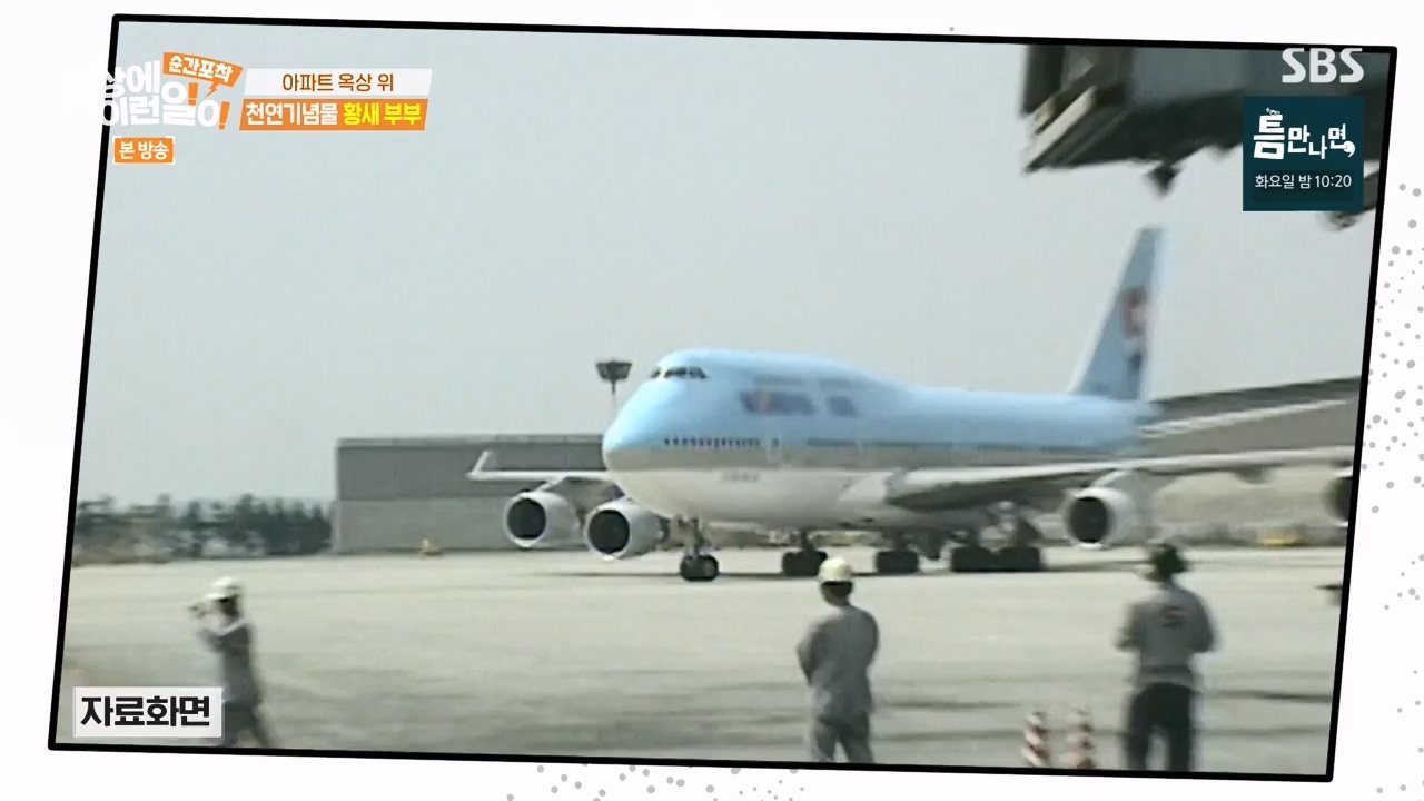 순간포착 세상에 이런일이.E1276.240505p-NEXT.mp4_20240505_151150.204.jpg
