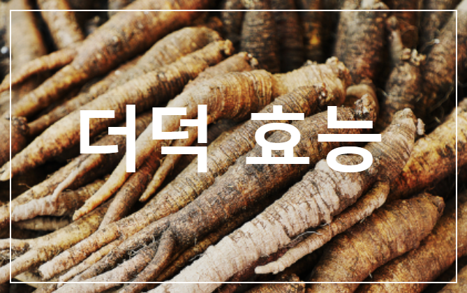 더덕 효능