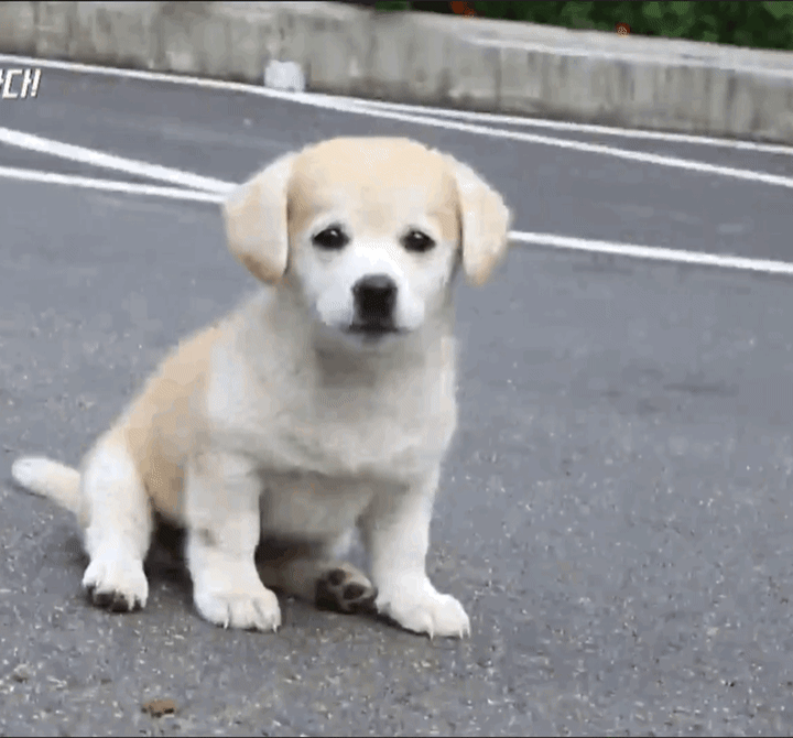  코로나 격리끝나고 후유증