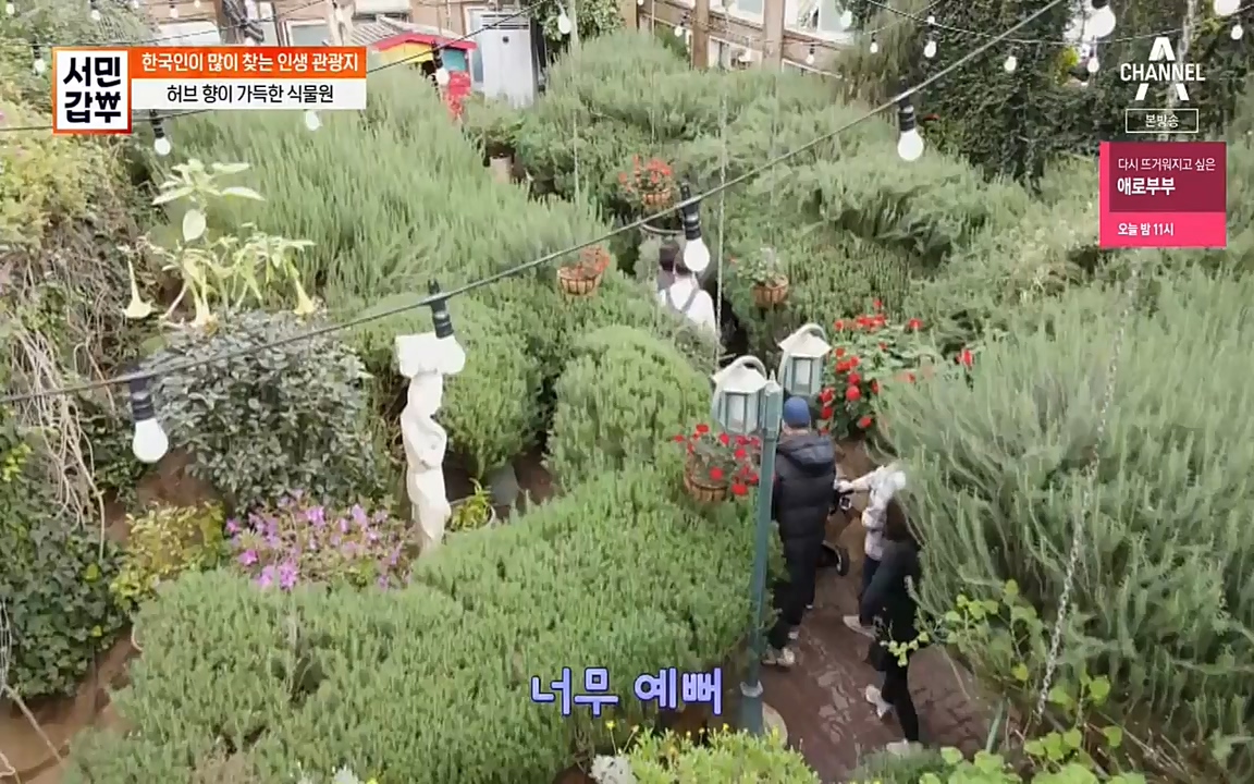서민 갑부.E380.220424p-NEXT.mp4_20220424_184340.120.jpg