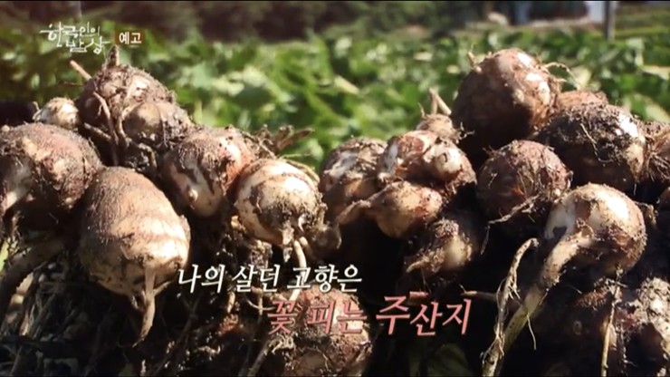 토란-곡성이-주산지이다