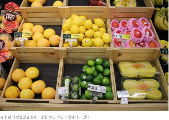  과일 야채에 농약 듬뿍?...'담금물 세척법' 사용해야