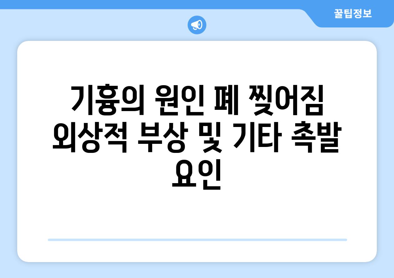 기흉의 원인 폐 찢어짐 외상적 부상 및 기타 촉발 요인