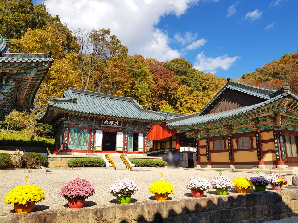 장소! 칠불사의 가을 풍경을 감상하세요:) 하동칠불사의 가을 멋진 자태를 품은 4