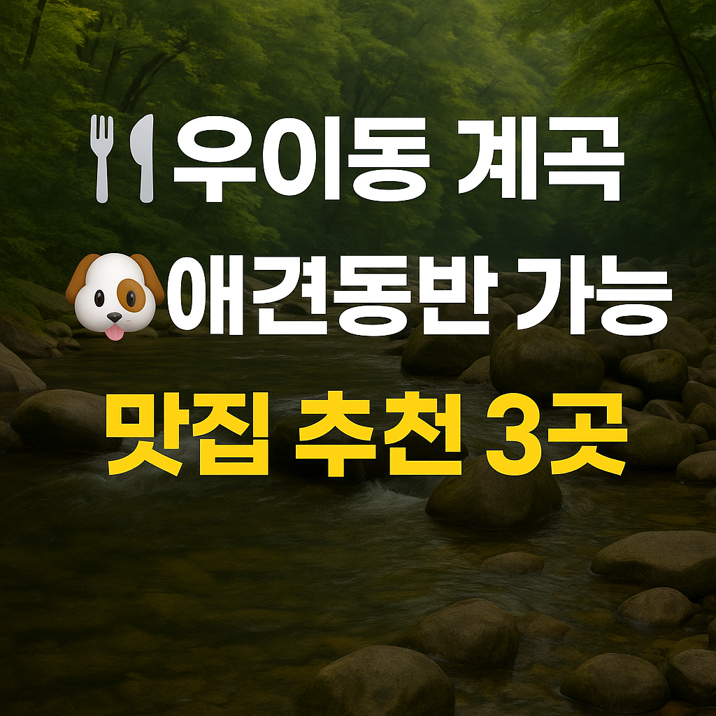  애견동반 가능 맛집 3선