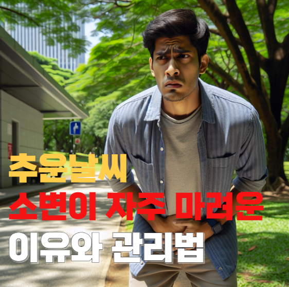 추운날씨 소변 자주 마려운 이유와 관리법