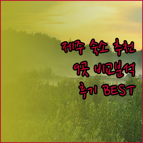 제주 여행 숙소 걱정 끝! 9개 호텔