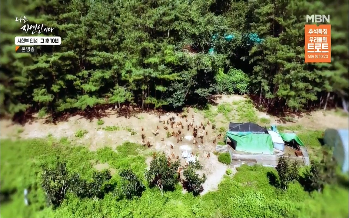 나는 자연인이다.E518.220908p.WANNA.mp4_20220908_200811.496.jpg