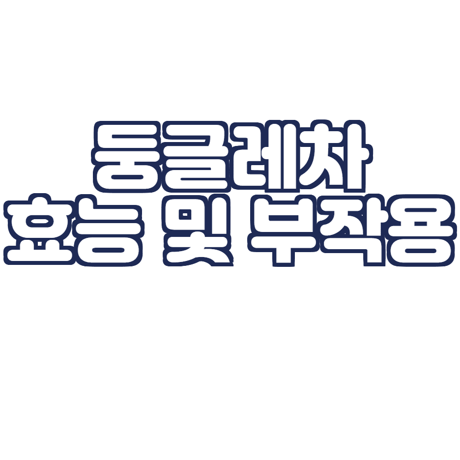  둥글레차 효능 및 부작용 총 정리!