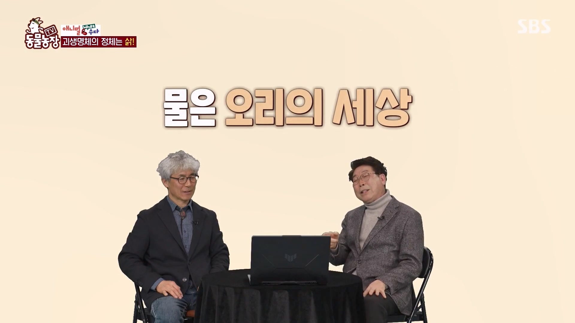 TV 동물농장.E1164.240324p-NEXT.mp4_20240324_170505.301.jpg