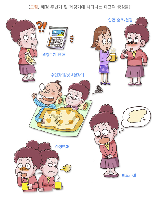  폐경기 증상 및 치료