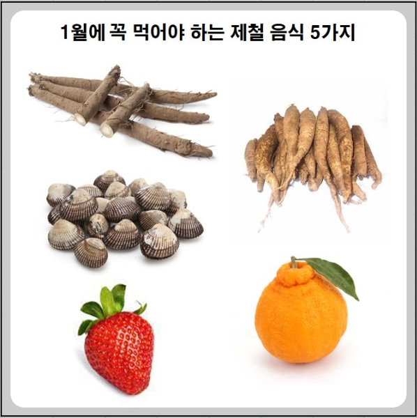 우엉&#44; 더덕&#44; 꼬막&#44; 딸기&#44; 한라봉 사진