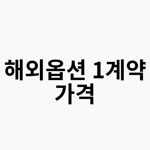 해외옵션 1계약 가격