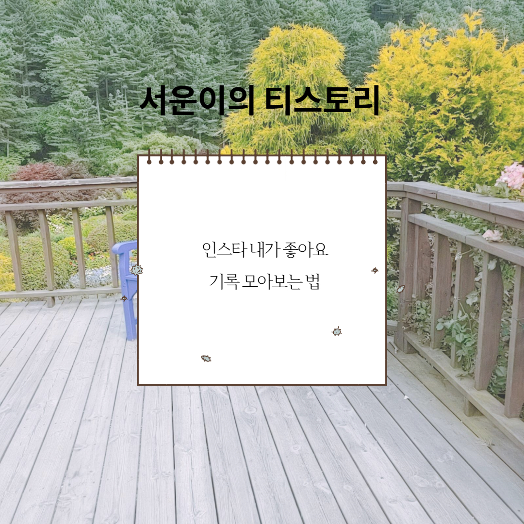  인스타 내가좋아요 기록 모아보는 법