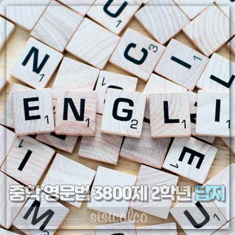 중학 영문법 3800제 2학년 답지