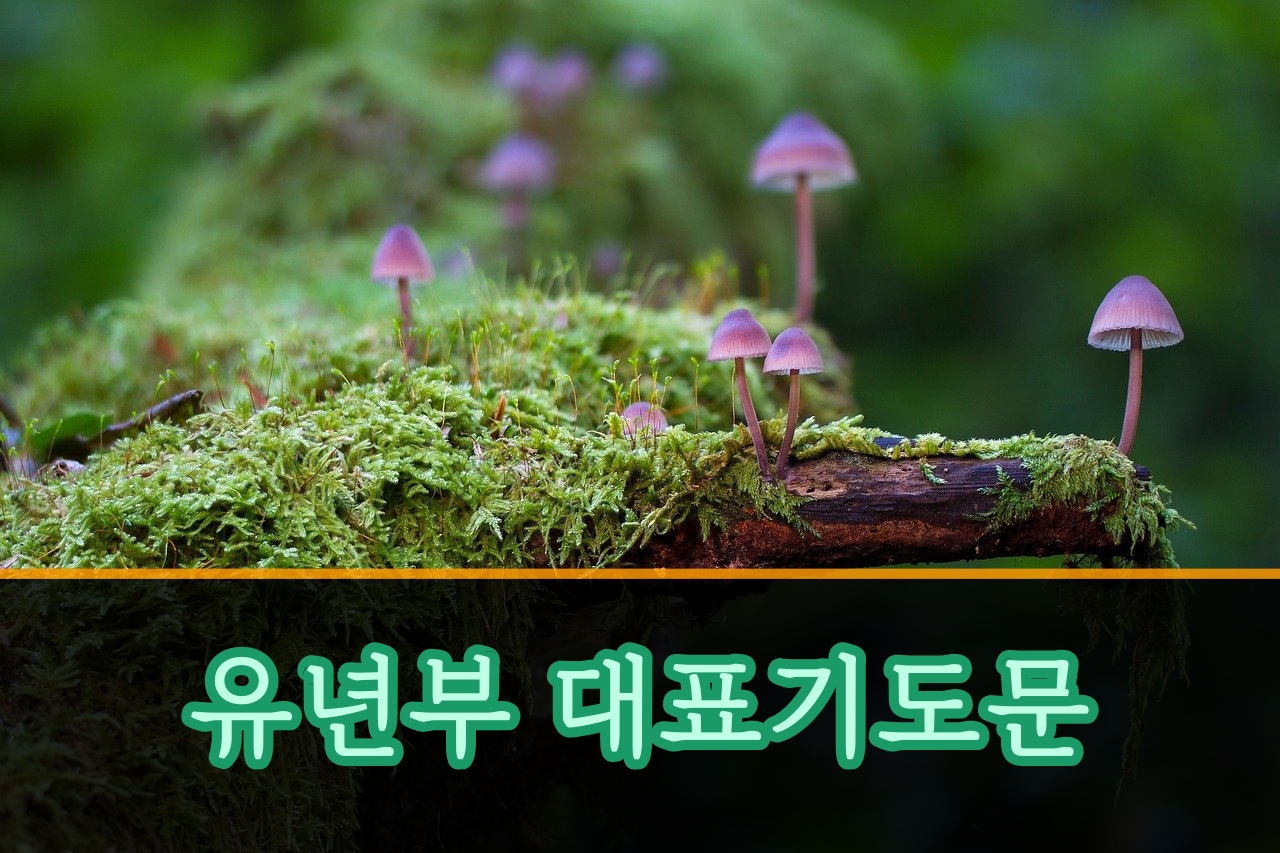  유년부 대표기도문