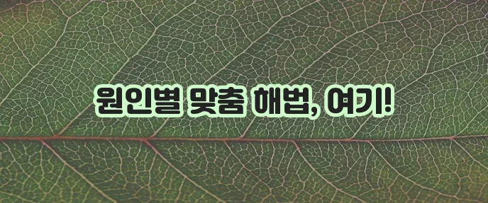 어깨 통증 해결 믿을 수 있는 방법, 정말 중요하죠!