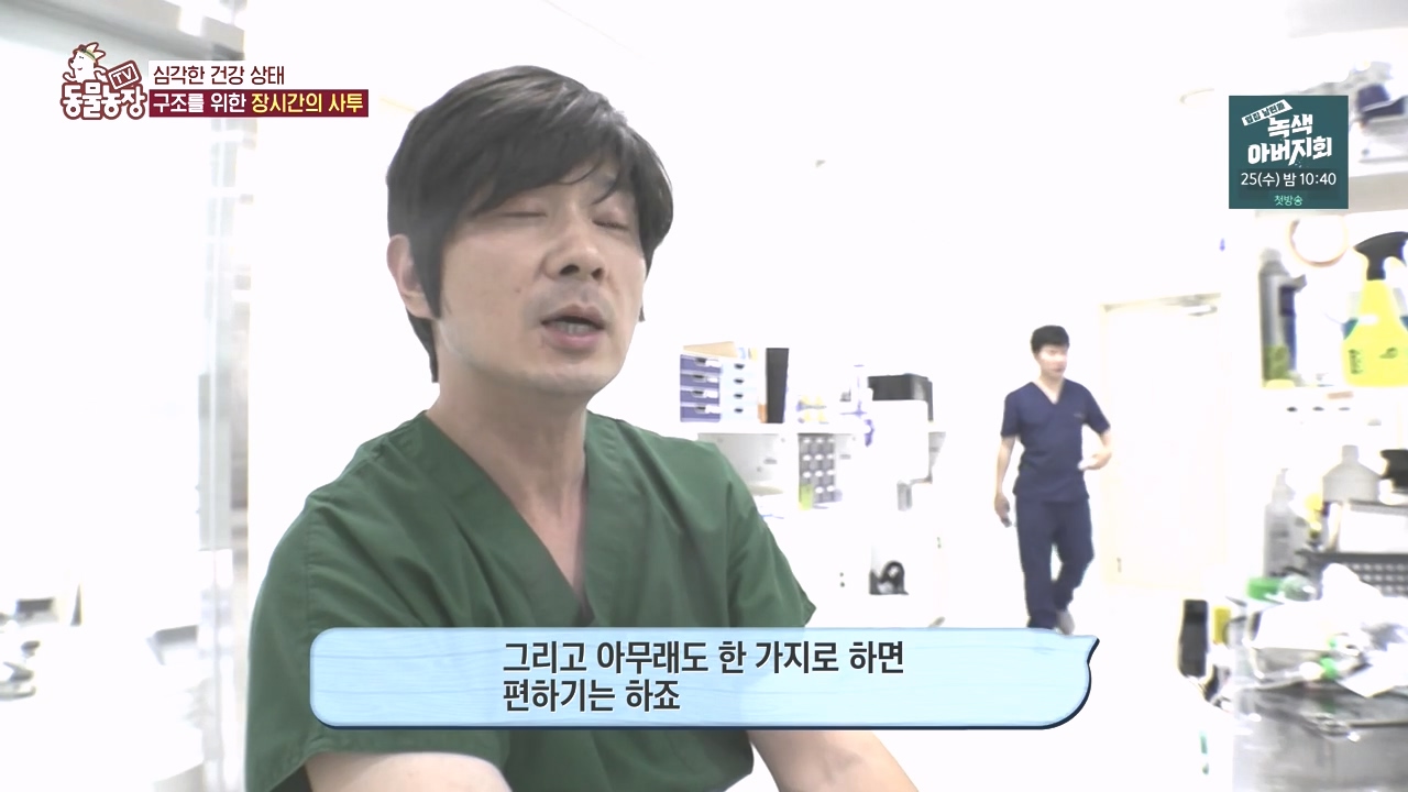 TV 동물농장.E1142.231023p-NEXT.mp4_20231022_172914.861.jpg