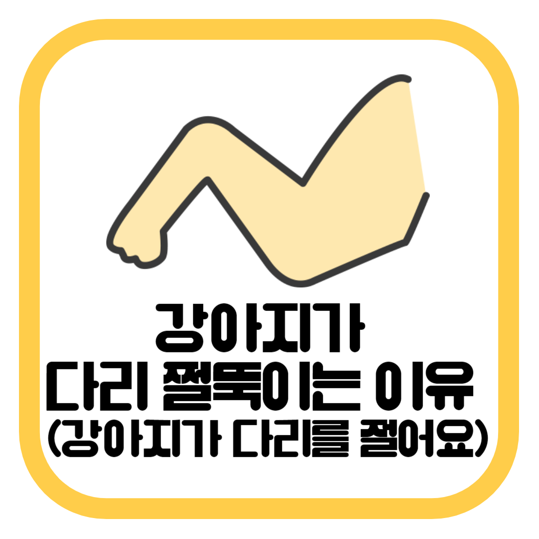 강아지가 다리 쩔뚝이는 이유