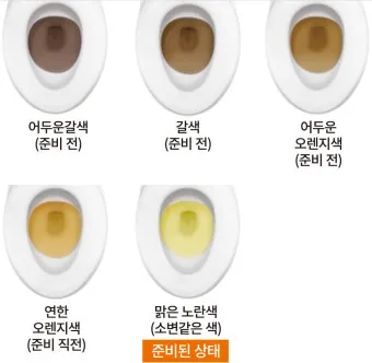 대장내시경 당일식사 주의사항 피해야 하는 음식_21