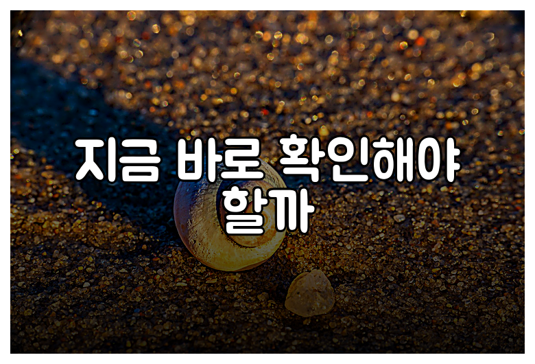 지금 바로 확인해야 할까