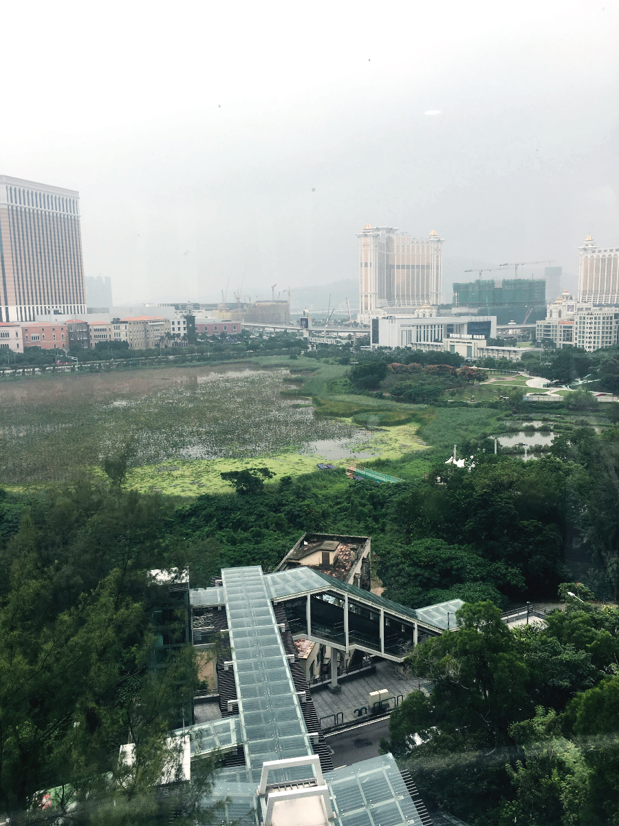 Taipa Grande Viewing Platform