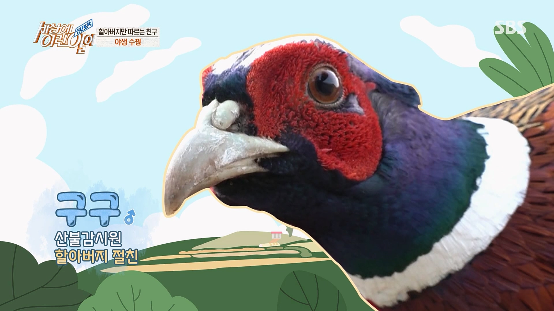 순간포착 세상에 이런일이.E1224.230404p.H264-F1RST.mp4_20230405_190948.833.jpg