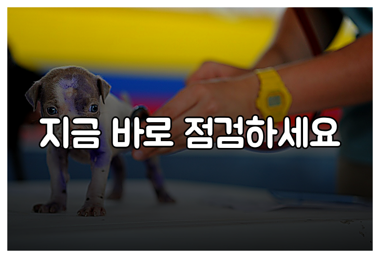 지금 바로 점검하세요