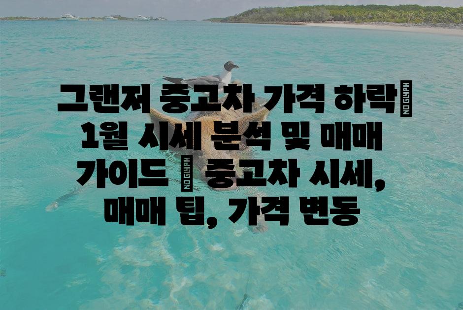 샘플 (1)