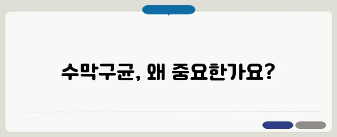 수막구균 예방접종 필요성 및 접종 시기