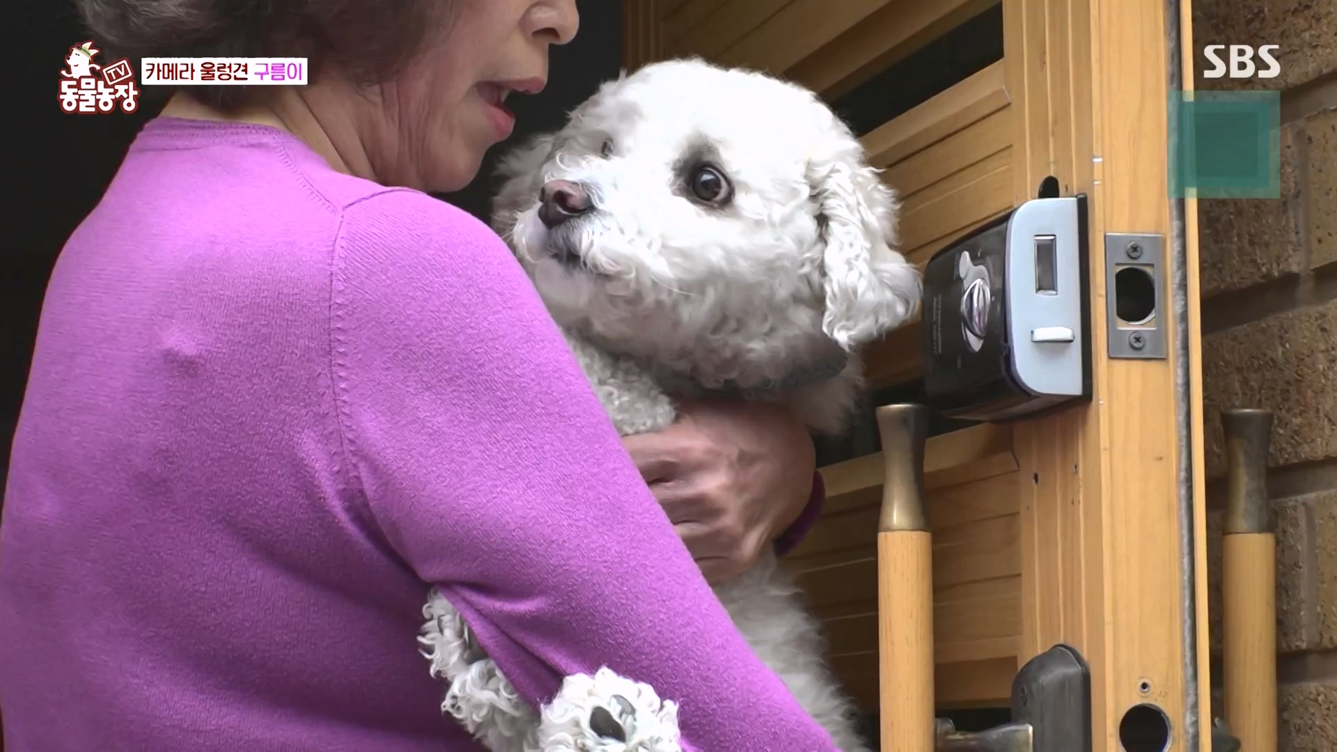 TV 동물농장.E1166.240407p-NEXT.mp4_20240407_164500.302.jpg