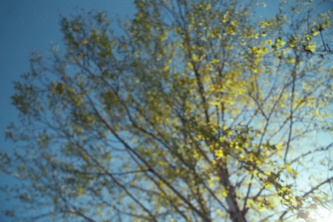 Brightness