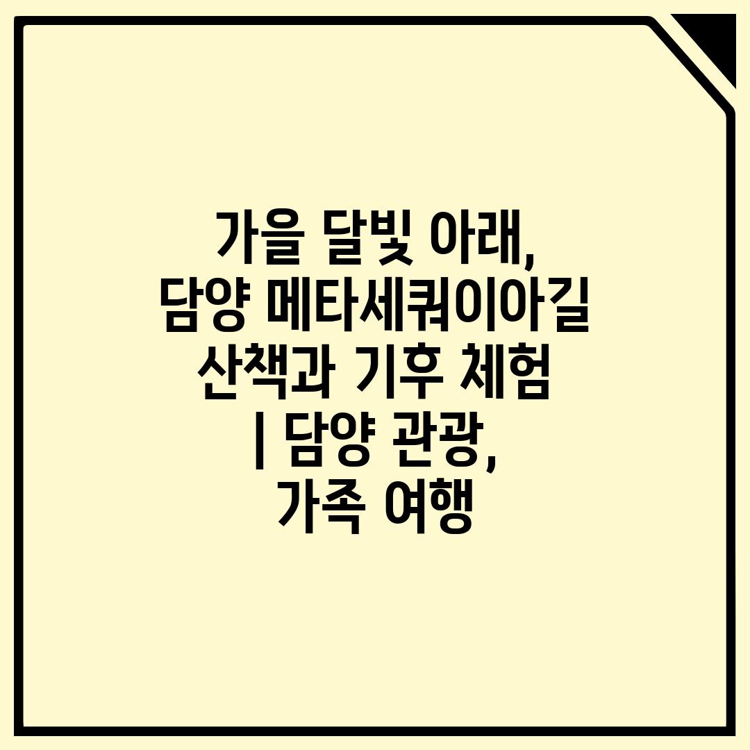 가을 달빛 아래, 담양 메타세쿼이아길 산책과 기후 체험