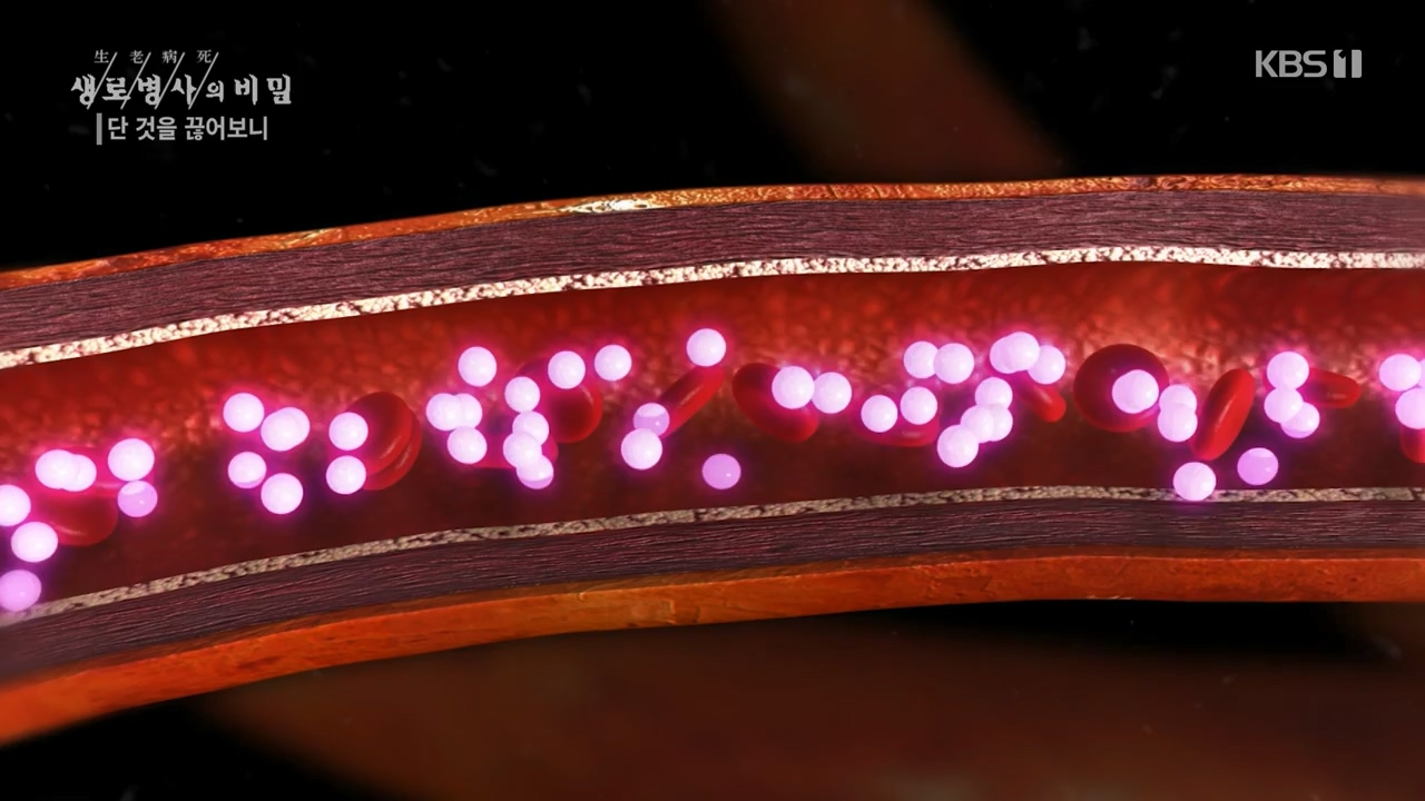 생로병사의 비밀.E877.230727p-NEXT.mp4_20230727_222742.606.jpg