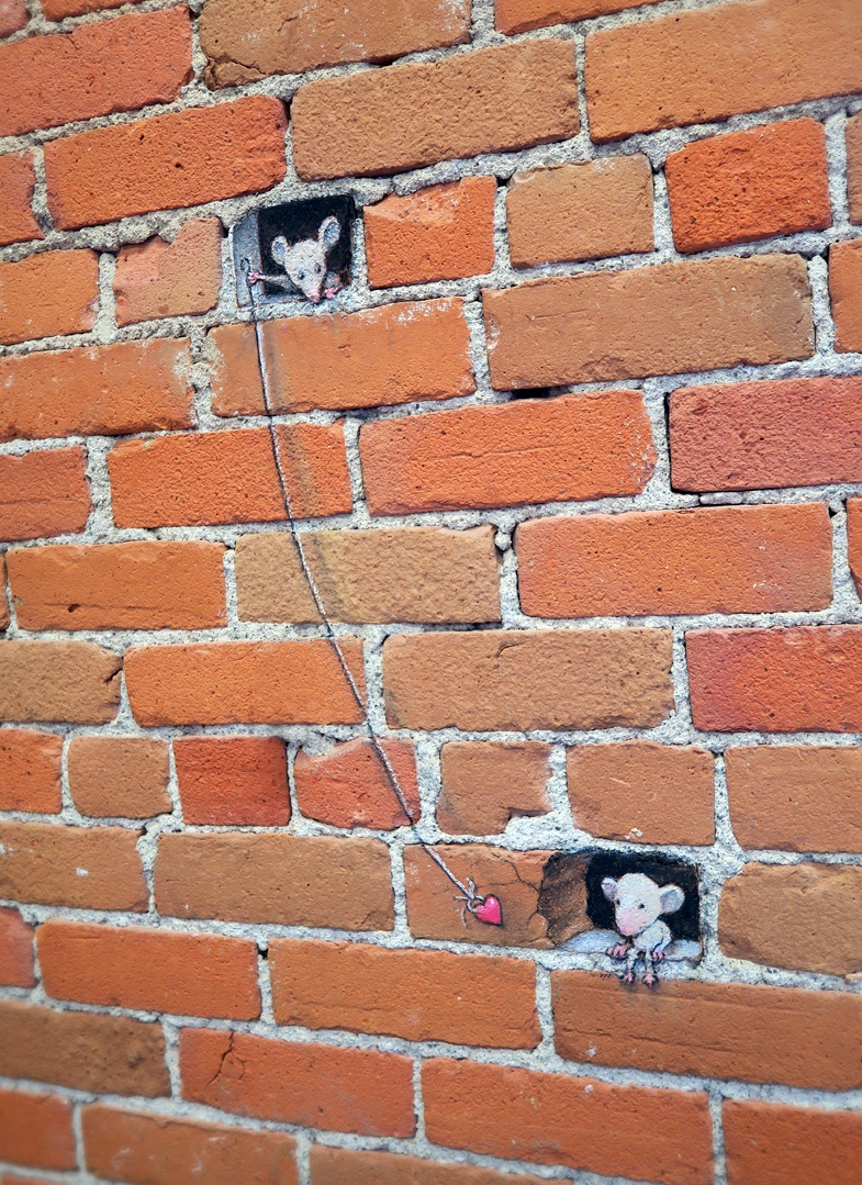 데이비드 진(David Zinn), 미국, 예술가, 1973-현재