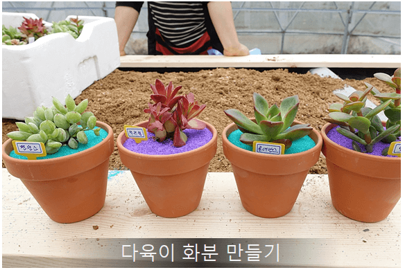 양평빙송어축제 솔직후기 및 할인예약방법