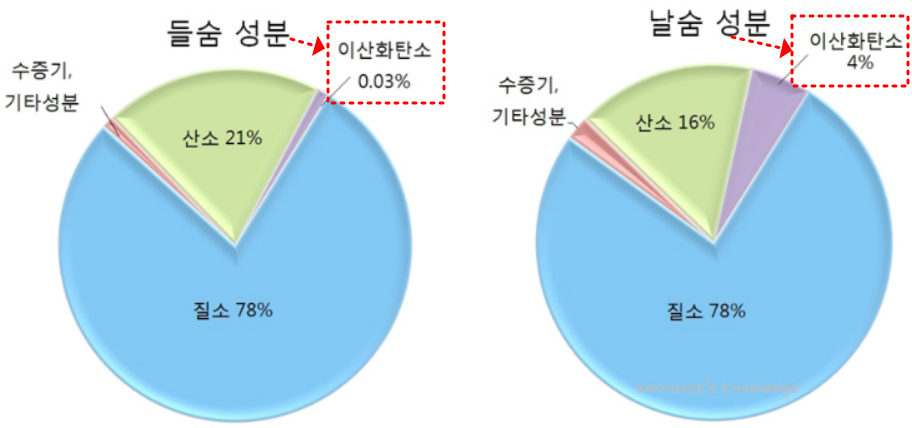 들숨과 날숨 기체의 구성 비율