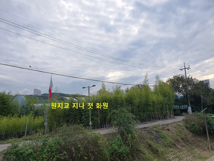 하나로꽃농원 이미지