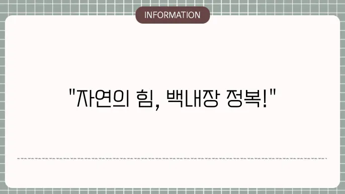로즈마리의 이미지