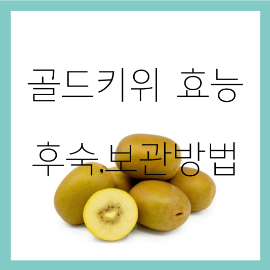 골드키위 효능, 후숙과 보관방법 썸네일