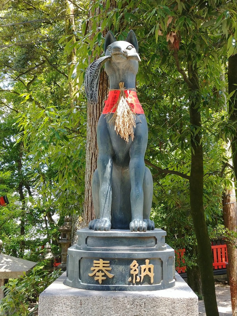 이나리 이미지