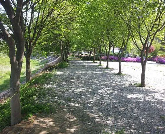강변캠핑장