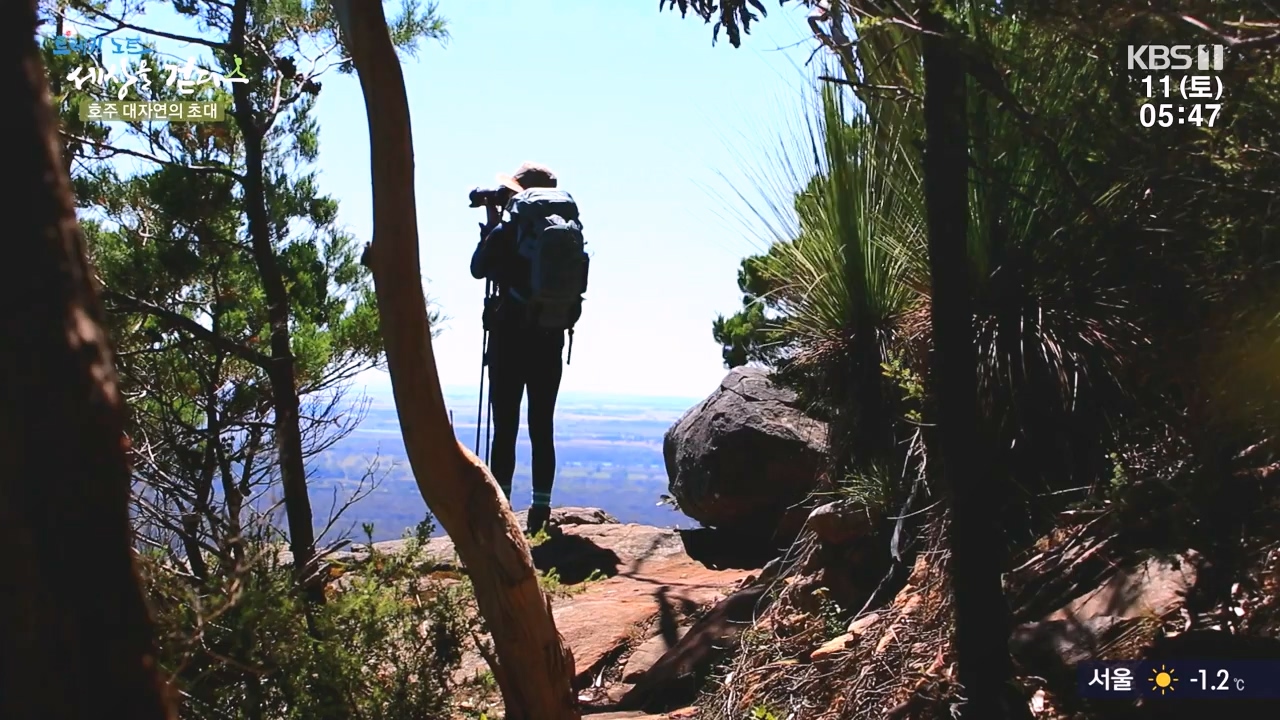 트레킹노트 세상을 걷다.E296.231112p-NEXT.mp4_20231111_182057.436.jpg