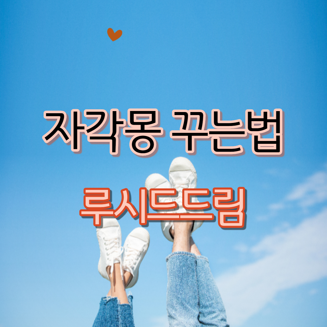  자각몽 꾸는법,루시드드림