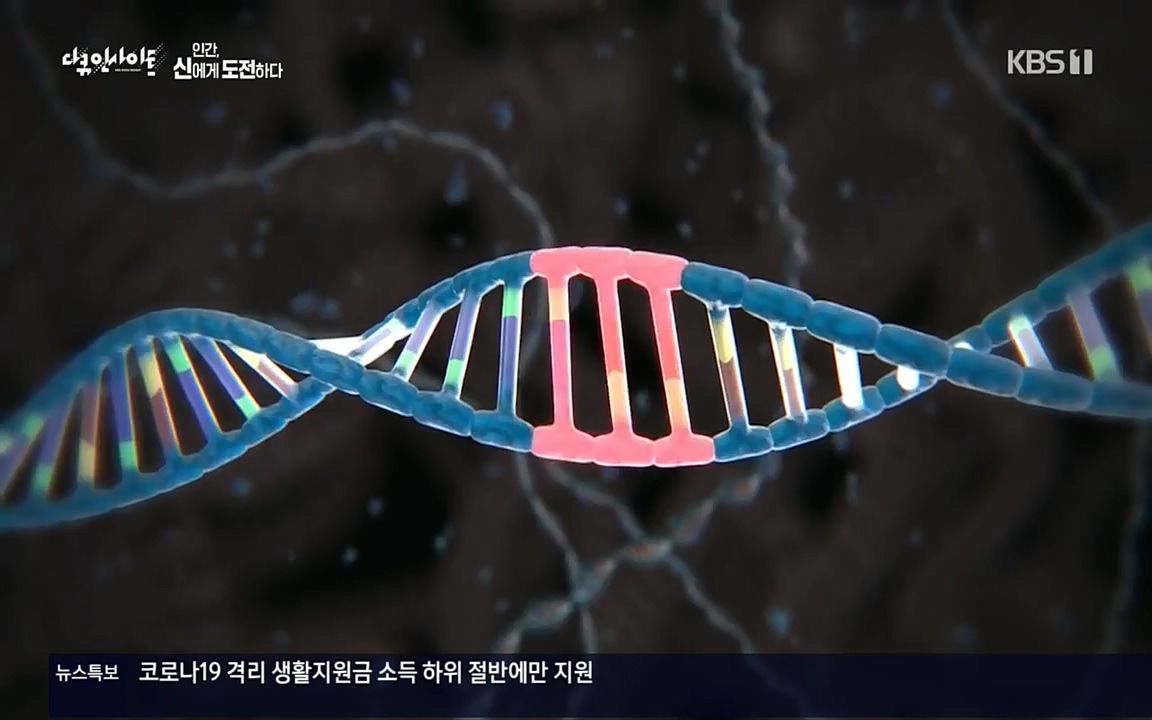 다큐 인사이트.E121.220819p.H264-F1RST.mp4_20220822_180823.126.jpg