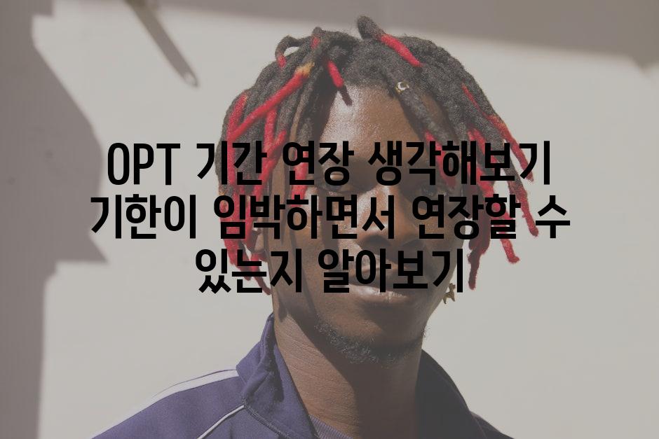 OPT 기간 연장 생각해보기 기한이 임박하면서 연장할 수 있는지 알아보기