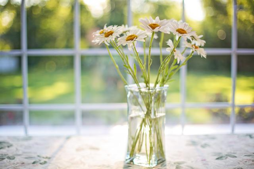 투명 화병에 꽂혀 있는 데이지 꽃이 놓여 있는 창가 테이블
