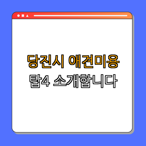 충청남도 당진시 애견미용 잘하는 곳 BEST4 ｜ 가장 인기있는 곳 ｜ 후기 확인하기 ｜ 가격 비교 ｜ 예약 방법 안내 ｜ 꿀팁 총정리