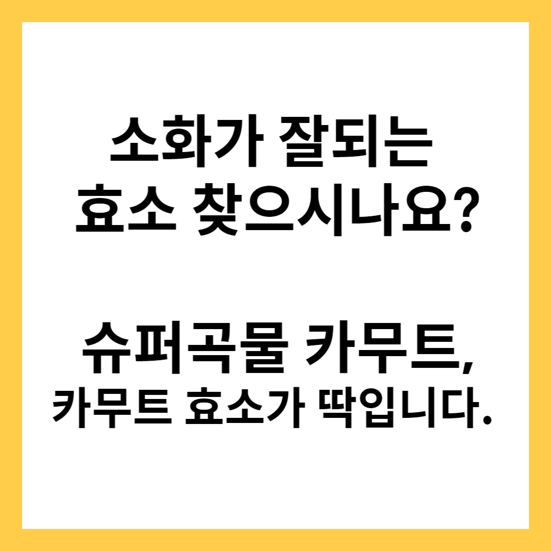 카무트 효소