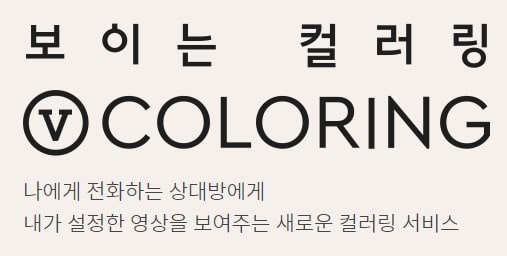  V컬러링 마켓플레이스 월100만벌기 직장인 투잡 디지털 노마드